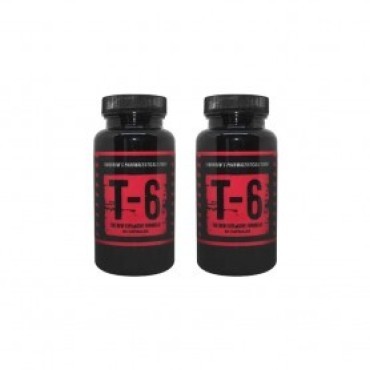 ZION LABS T-6 60 kapsul 2x Zion Labs